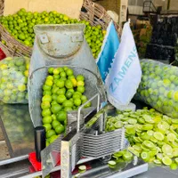 اسلایسر لیمو|خردکن، آسیاب، غذاساز|جهرم, |دیوار