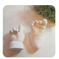 گل کریستال|گل مصنوعی|اردکان, |دیوار