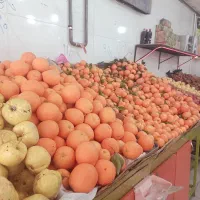 نیروی ساده برای کار در میوه فروشی