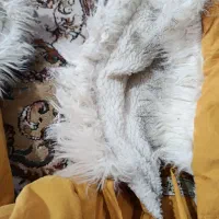 کاپشن زرد خردلی بچگونه در دوسایز|کفش و لباس بچه|یاسوج, |دیوار