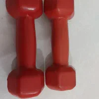 فروش دمبل روکش دار وزن 2 کیلوگرم|تجهیزات ورزشی|شیراز, زند|دیوار