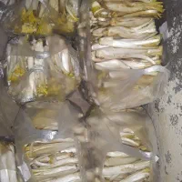کنگر تازه شیرین