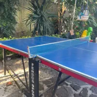 میز پینک پنگ فردوس