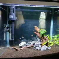 آکواریوم دلسا مدل k500