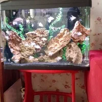 اکواریم دلسا k580 با پایه وتجهیزات کامل