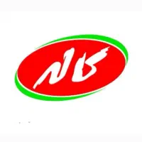 بازاریاب (ویزیتور )