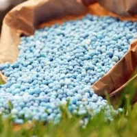 کود تضمینی رشد رویشی و ضد سرما. آفات و قارچ