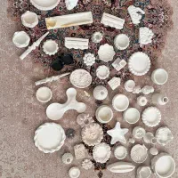 بیس های خام