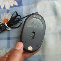 موس کامپیوتر|قطعات و لوازم جانبی رایانه|آمل, |دیوار