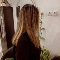 تخفیفات یلدایی رنگ ولایت