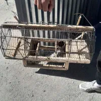 قفس شکاری بزرگ|لوازم جانبی حیوانات|دیواندره, |دیوار
