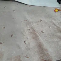 پالاز موکت