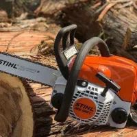 چوب بری و قطع درختان