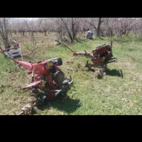 خرید و برش چوب تیلر زدن|خدمات باغبانی و درختکاری|دورود, |دیوار