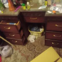 میز تلوزیونی تمیز کشو کوچیک ۲ تاس دراور آینه|میز تلویزیون|ری, تقی آباد|دیوار