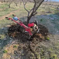شخم زدن باغ با دستگاه تیلر