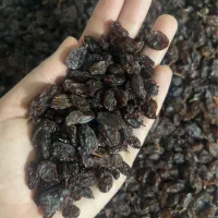 کشمش افتابی بدون هورمون انگور قرمز کاملا بهداشتی