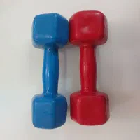 دمبل ۳کیلویی و حلقه تن زیب