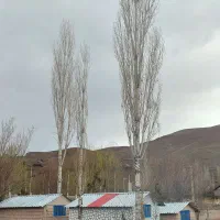 اجاره آلاچیق های شبانه و ساعتی