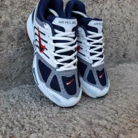 کتونی نایک  pegasus 2k5 (بمب سال)|کیف، کفش، کمربند|زنجان, |دیوار