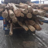 خریدانواع چوب|خدمات باغبانی و درختکاری|تویسرکان, |دیوار