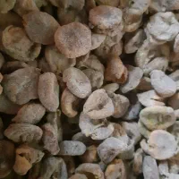 برگه خشک و انجیر خشک|خوردنی و آشامیدنی|ساوه, |دیوار