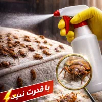 سم ساس (استفاده آسان و بدون تخلیه منزل)