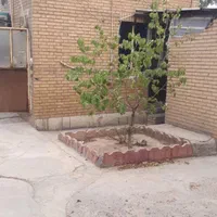 سوله فروش ۱۲۶۰ متری در شهرک عباس آباد (ریخته گری)|فروش دفتر صنعتی، کشاورزی، تجاری|شریف‌آباد, |دیوار