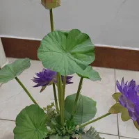 گلهای مصنوعی آپارتمانی خارجی قابل شستشو