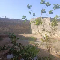 زمین ۴ دیواری شده جنت آباد|فروش زمین و ملک کلنگی|قم, باغ کرباسی|دیوار