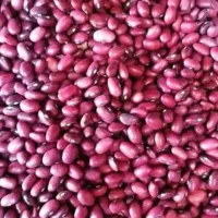 لوبیا قرمز بوجاری شده