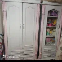 سرویس دومنظوره