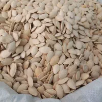 انواع اجیل پسته .|خوردنی و آشامیدنی|امیرآباد, |دیوار