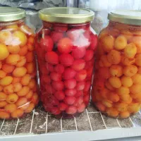 کمپوت گیلاس خانگی بهداشتی