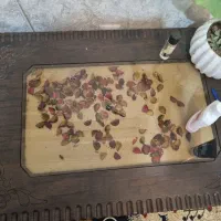 میز جلو مبلی و عسلی|مبلمان خانگی و میز عسلی|اهواز, گلستان|دیوار