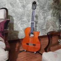 گیتار واشبرن