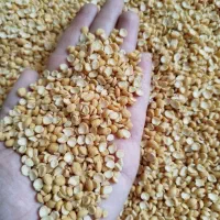 فروش لپه تازه