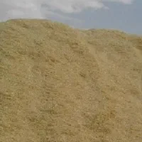 کاه گندم