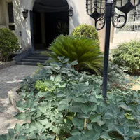 ۲۴۰منر ویلایی/۳طبقه/بهترین لوکیشن پاسداران