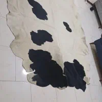 پوست