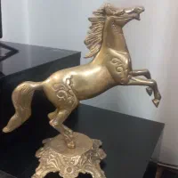 لوستر ۸ شاخه|لوستر و چراغ آویز|نسیم‌شهر, |دیوار