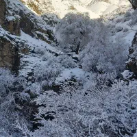 همراه کوهنوردی