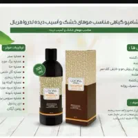 شامپو وماسک موی لدورا|آرایشی، بهداشتی، درمانی|کرج, گلشهر|دیوار
