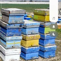 جعبه کندو دست دوم