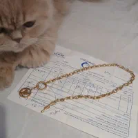 طلا|جواهرات|کرج, اتحاد|دیوار