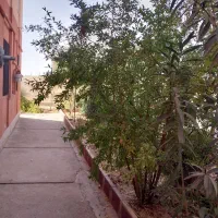 اپارتمان ۶۰ متری تکخوابه فول امکانات مالک هستم|فروش آپارتمان|هشتگرد, شهرک گلخانه|دیوار