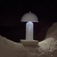 آباژور قارچی