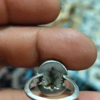 انگشتر شجر|کلکسیون و سرگرمی|کرمانشاه, |دیوار