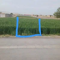 زمین