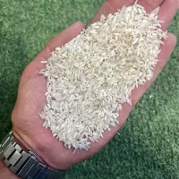 برنج اقتصادی طارم